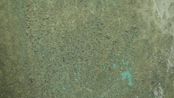 istock background texture of peeling mossy wall 2209661600