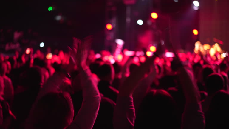 Many cheering fans applauding at music concert festival. Clapping fun people.