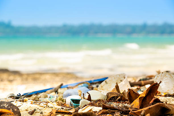 Trash, plastic cups and plastic bags at the beach. environmental problem concept and healing the world