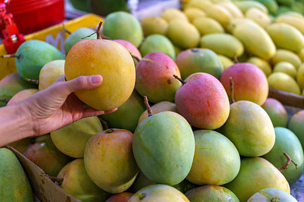 istock Hand picking a ripe mango from a market fruit display 2209670919