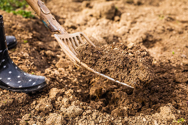 istock Digging soil with a garden fork to cultivate soil ready for planting, spring gardening 2209673517