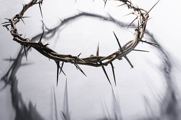 istock Crown of thorns casting a distinct shadow on a for Christian background, Easter concept, creating a symbolic image of suffering, sacrifice, and remembrance Copy space for text 2209678994
