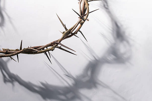 istock Crown of thorns casting a distinct shadow on a white background, creating a symbolic image of suffering, sacrifice easter and remembrance Copy space for text good friday Banner 2209679000