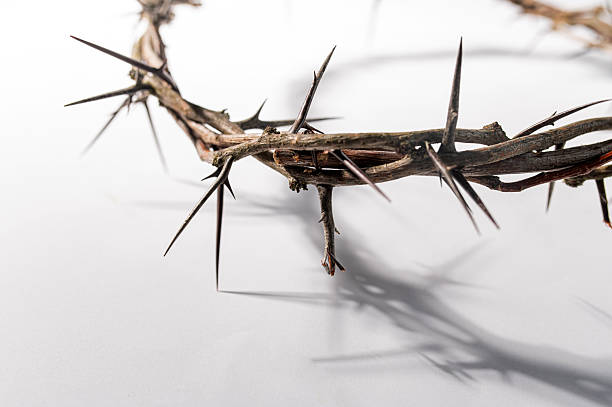 istock Crown of thorns casting a distinct shadow on a white background, creating a symbolic image of suffering, sacrifice, and remembrance Copy space for text good friday Banner 2209679007