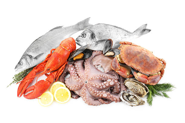 istock Fresh raw octopus and different sea food isolated on white, top view 2209684740