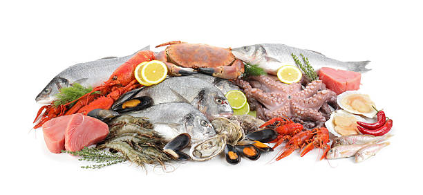 istock Fresh fish and different sea food isolated on white 2209684742