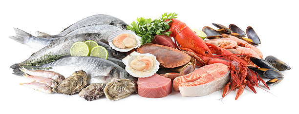 istock Fresh fish and different sea food isolated on white 2209684768