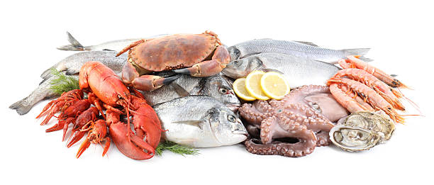 istock Fresh fish and different sea food isolated on white 2209684769