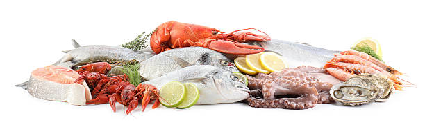 istock Fresh fish and different sea food isolated on white 2209684812