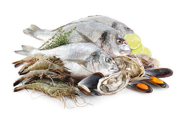 istock Fresh fish and different sea food isolated on white 2209684890