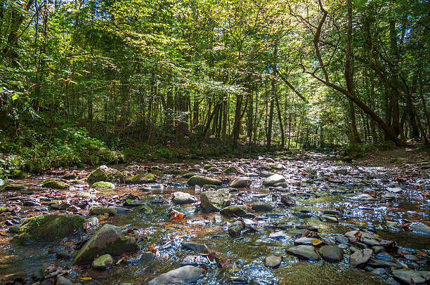 istock The Great Smoky Mountains National Park 2209685791