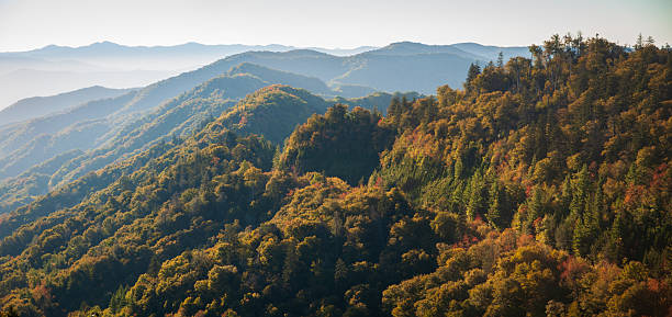 istock The Great Smoky Mountains National Park 2209685880