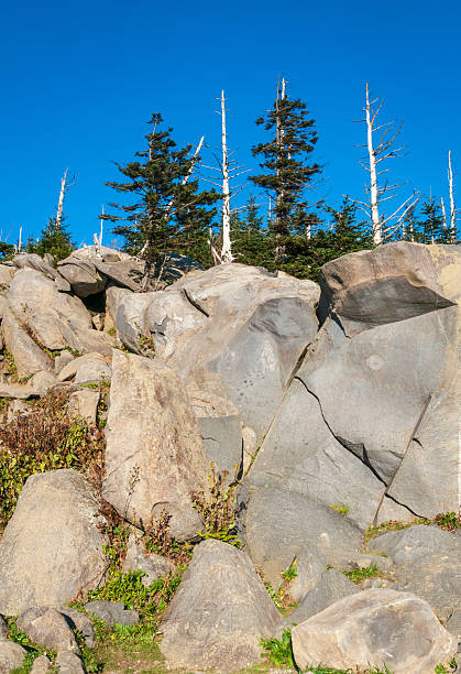istock The Great Smoky Mountains National Park 2209687096
