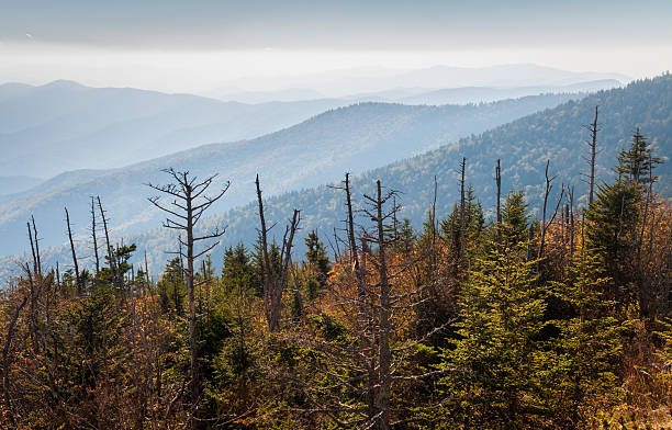 istock The Great Smoky Mountains National Park 2209687771