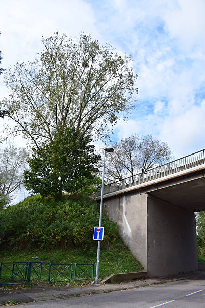 istock trees at the edge of a bridge 2209689266