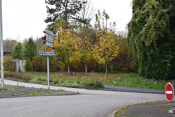 istock traffic circle with autumn trees 2209691390