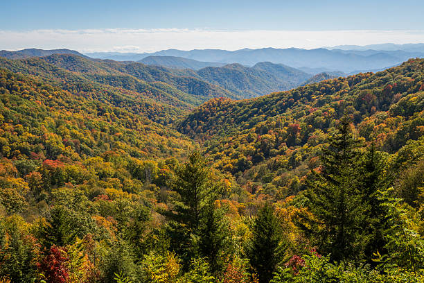 istock The Great Smoky Mountains National Park 2209692274