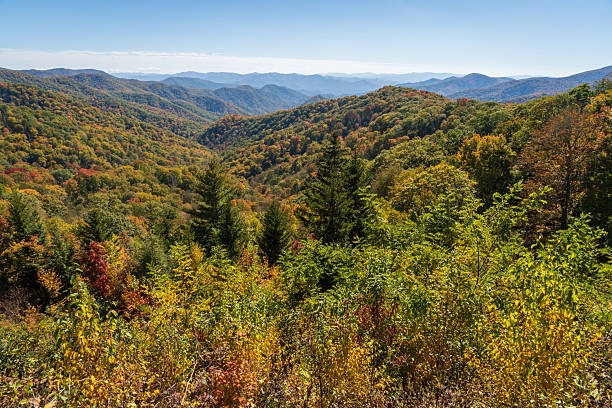 istock The Great Smoky Mountains National Park 2209692299