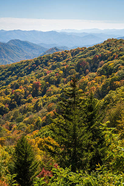 istock The Great Smoky Mountains National Park 2209694165
