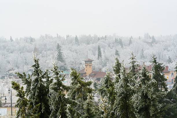 A scenic winter view of a frosty town surrounded by snow-covered trees and a tower peeking through the misty landscape.
