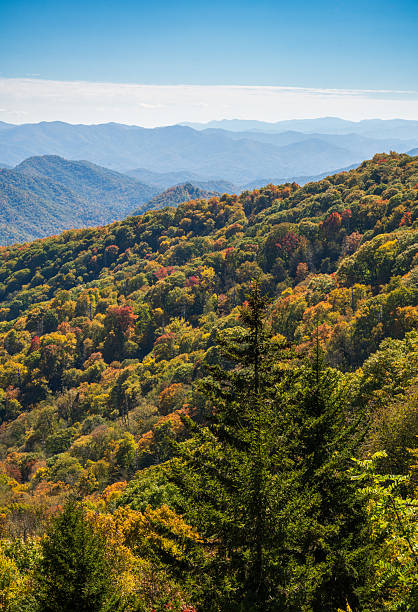istock The Great Smoky Mountains National Park 2209694204