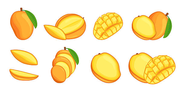 istock Mango set vector illustration. Cartoon isolated exotic organic fresh fruit cut in half pieces and slices for healthy vitamin vegetarian menu. Ripe sweet tropical mango with leaf 2209694489