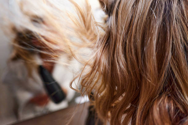 istock Hair in motion during blow drying! 2209697511
