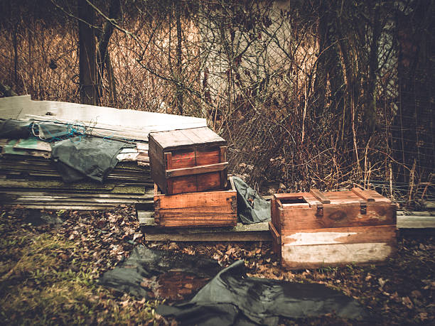 Wooden crates and cardboard boxes are discarded and piled up in a landfill, representing waste and environmental issues
