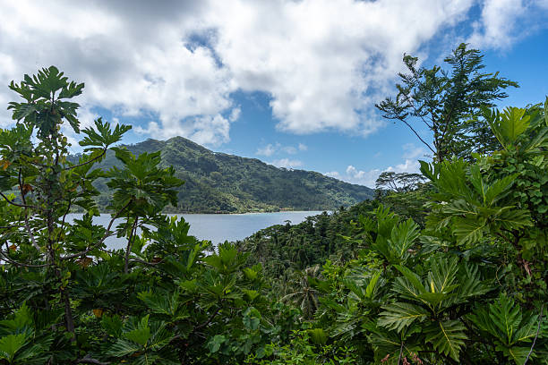 istock Hurepiti Bay on Tahaa Island, French Polynesia 2209703856