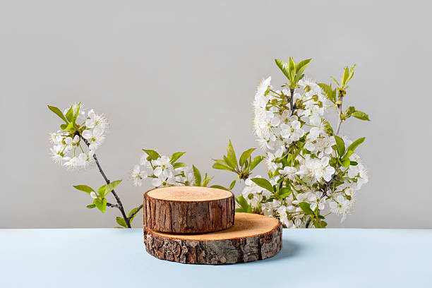 istock Wood slice podium and blossoming branches 2209707457