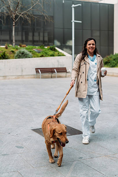 istock Nurse with her dog playing in the park 2209711307