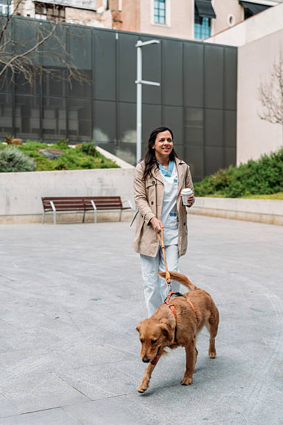 istock Nurse with her dog playing in the park 2209711318