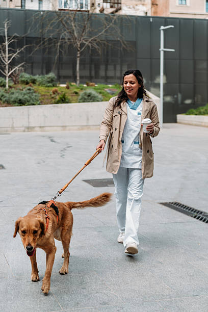 istock Nurse with her dog playing in the park 2209711327