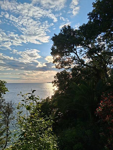 istock Coastal Landscape with Sunlit Ocean 2209712171