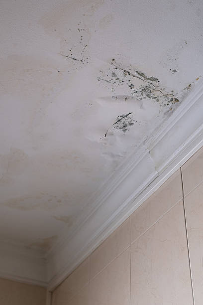 istock Affected roof from rain. 2209713579