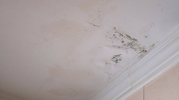 istock Affected roof from rain. 2209713586