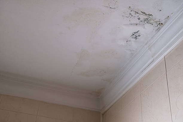 istock Affected roof from rain. 2209713597