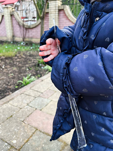 istock Child holding an icicle during wintertime in a backyard setting 2209713842