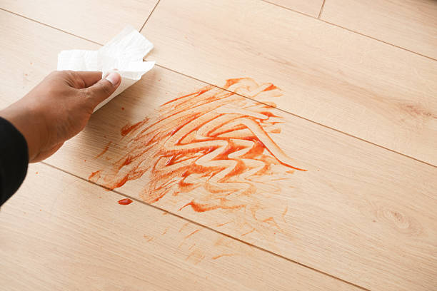 istock Effortlessly Cleaning a Stained Floor Using a Simple Paper Towel 2209716267