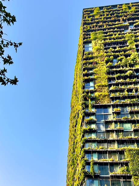 istock Covered in plants: A vertical garden/glass windowed implants-rise/skyscraper. 2209716981