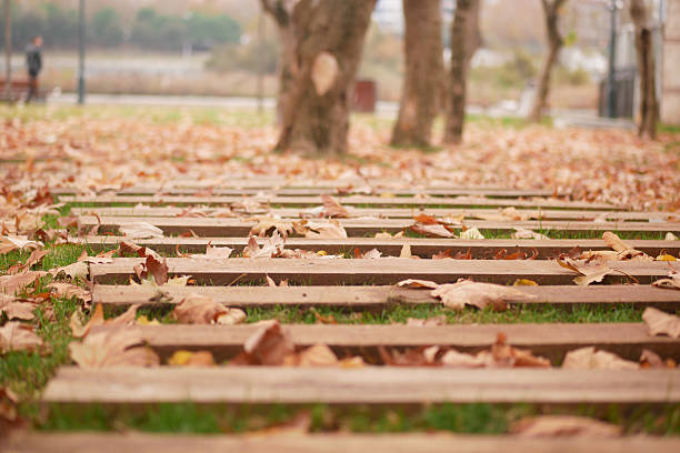 A wooden pathway winds through an autumn landscape filled with colorful fallen leaves
