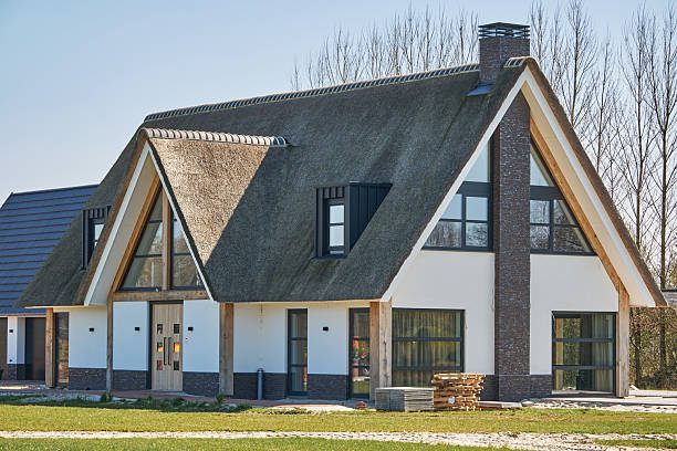 new thatched modern villa in nieuweroord, netherlands, recently completed - rieten dak stockfoto's en -beelden