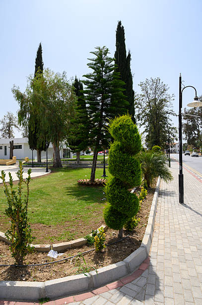 Vibrant greenery fills a tranquil park, showcasing neatly trimmed bushes and tall trees under a clear blue sky during a sunny afternoon. Families enjoy leisurely walks on the pathways.