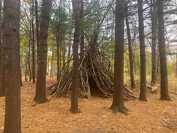 istock Teepee shelter in the woods 2209721172