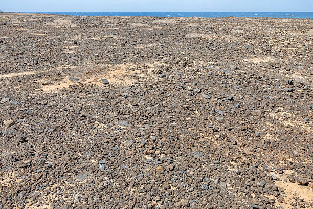 Desolate Beauty Near La Santa – A cracked lava field stretches toward Lanzarote’s coast, where stubborn drought-resistant plants cling to life between volcanic boulders. The surreal, Mars-like terrain contrasts with the distant blue Atlantic, embodying the island’s raw, minimalist allure.