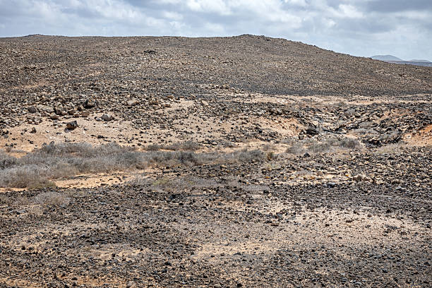 Desolate Beauty Near La Santa – A cracked lava field stretches toward Lanzarote’s coast, where stubborn drought-resistant plants cling to life between volcanic boulders. The surreal, Mars-like terrain contrasts with the distant blue Atlantic, embodying the island’s raw, minimalist allure.