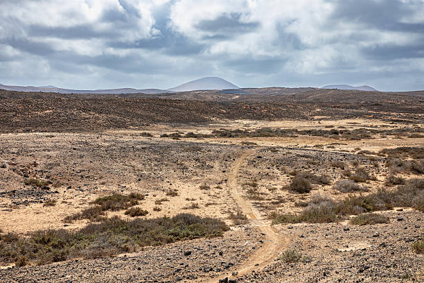 Fuerteventura landscape seen from Mirador de Vallebron mountain.