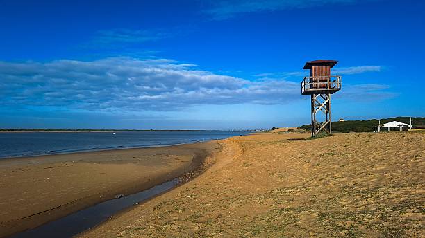 istock Beach landscape with lifeguard tower under blue sky. 2209724388