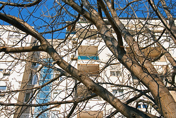 istock View through the branches of a tree towards modern apartment building (Picture No 03) 2209731045