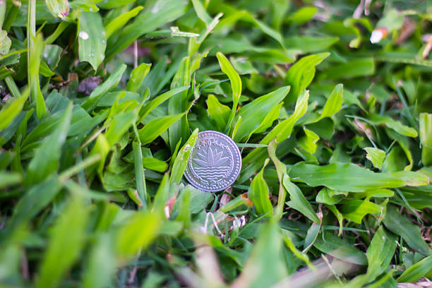 coin in the green grass on the ground